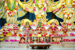 Daily Darshan