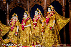 Daily Darshan