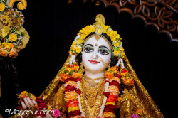 Daily Darshan