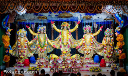 Daily Darshan