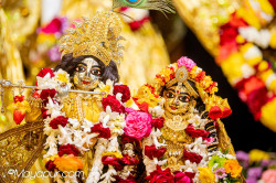 Daily Darshan