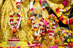 Daily Darshan