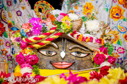 Daily Darshan