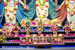 Daily Darshan