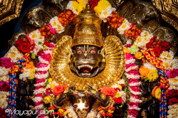 Daily Darshan