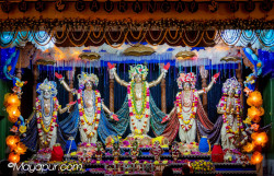 Daily Darshan