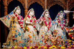 Daily Darshan