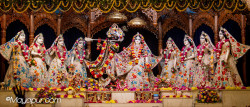 Daily Darshan
