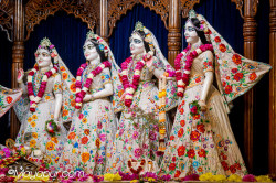 Daily Darshan