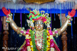 Daily Darshan