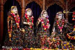 Daily Darshan