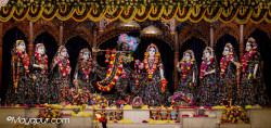 Daily Darshan