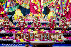 Daily Darshan