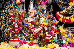 Daily Darshan