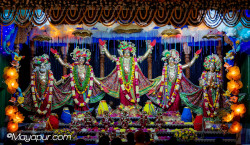 Daily Darshan