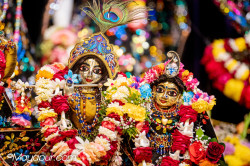 Daily Darshan