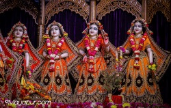 Daily Darshan