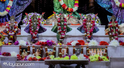 Daily Darshan