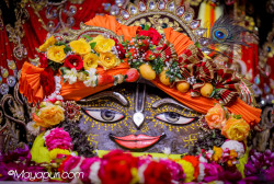 Daily Darshan