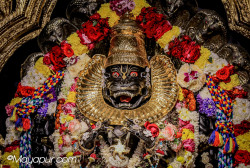 Daily Darshan