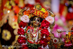 Daily Darshan