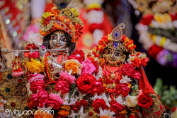 Daily Darshan