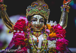 Daily Darshan