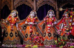 Daily Darshan
