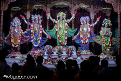 Daily Darshan