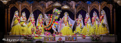 Daily Darshan