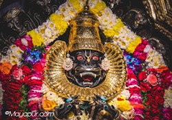 Daily Darshan