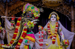 Daily Darshan