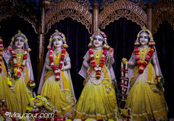 Daily Darshan