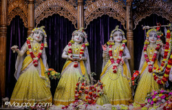 Daily Darshan
