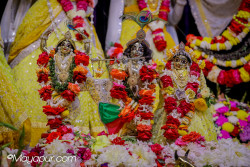 Daily Darshan