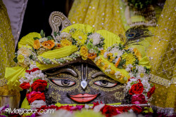 Daily Darshan