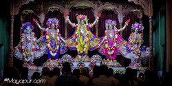 Daily Darshan