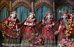 Daily Darshan