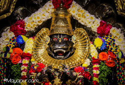 Daily Darshan