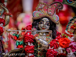 Daily Darshan