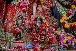 Daily Darshan