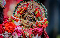 Daily Darshan