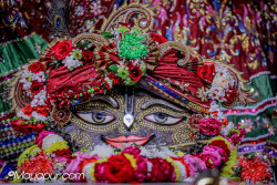 Daily Darshan