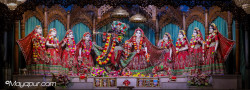 Daily Darshan