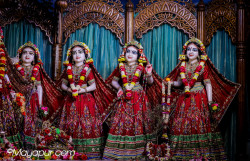 Daily Darshan