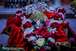 Daily Darshan