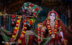Daily Darshan