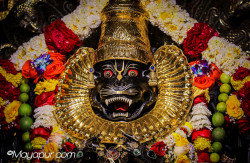 Daily Darshan