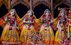 Daily Darshan
