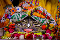 Daily Darshan